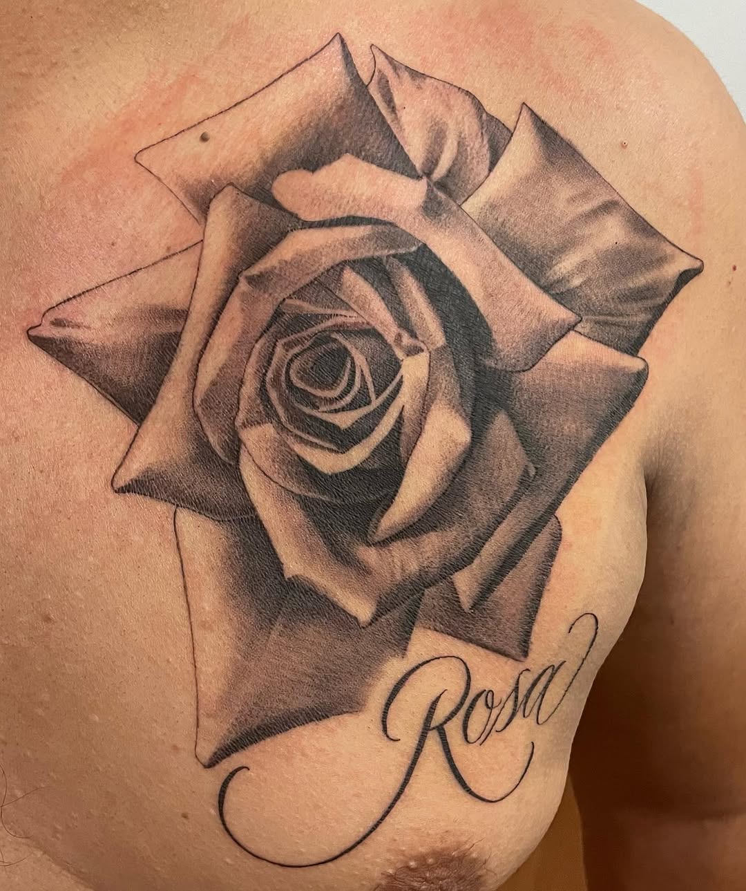 Flower, Rose, Nature