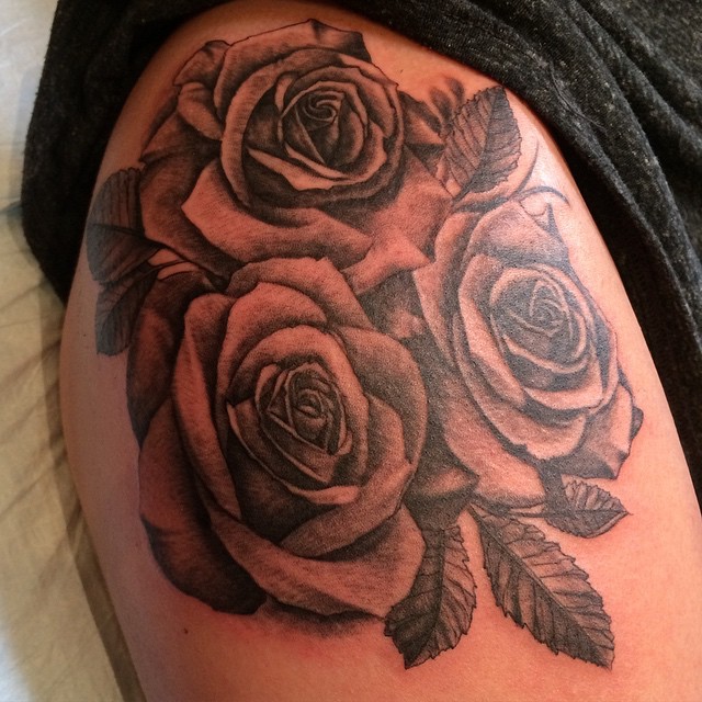 Flower, Rose, Nature