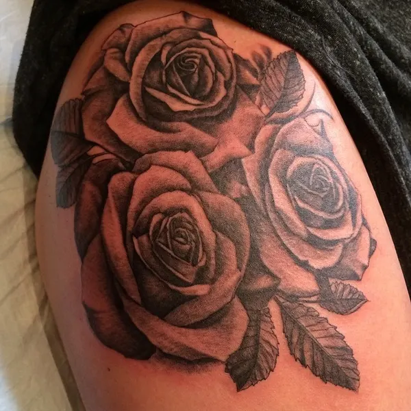 Flower, Rose, Nature