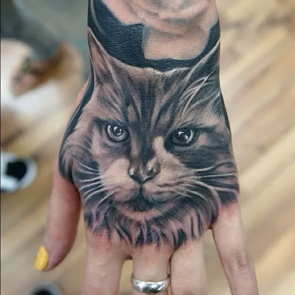Animal