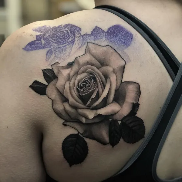 Flower, Rose, Nature