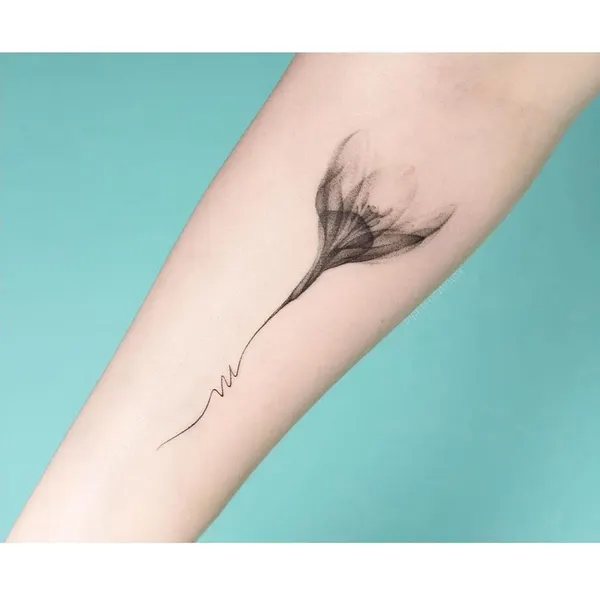 Flower, Rose, Lettering