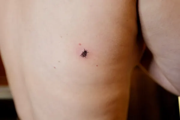 evantattoo