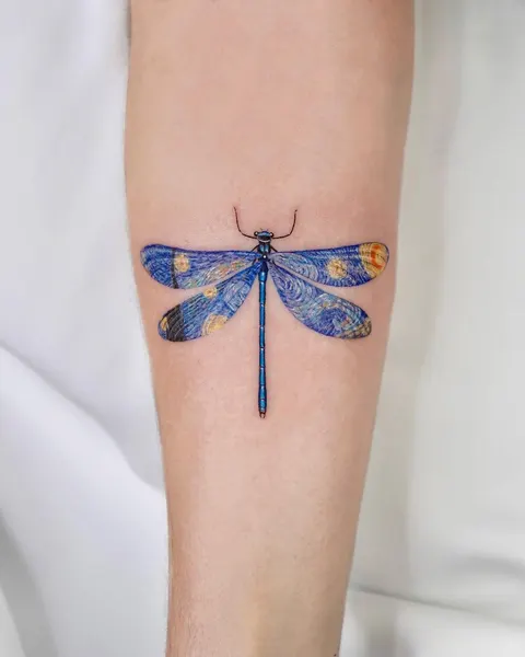 Animal, Nature, 잠자리, 매미