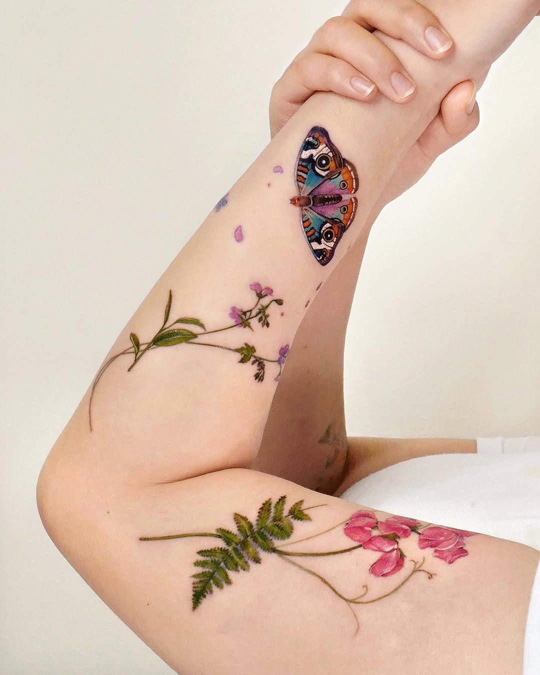 Animal, Nature, Flower