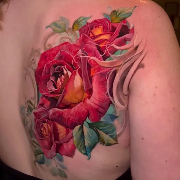 Flower, Rose, Nature