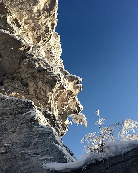 fflowerporn