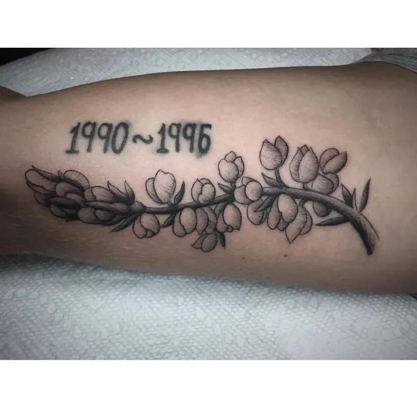 Flower, Mini, Rose