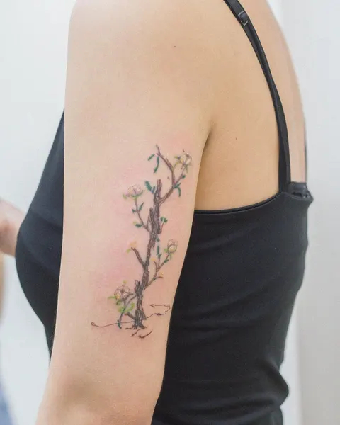 Flower, Nature, 벚꽃
