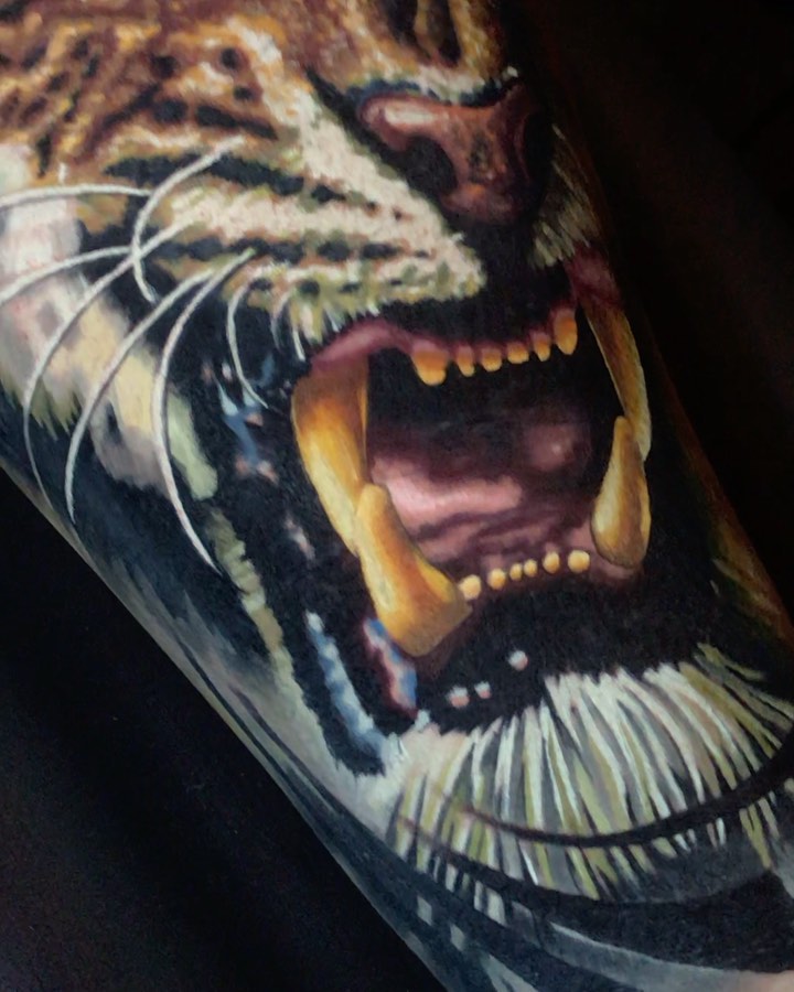 Tiger