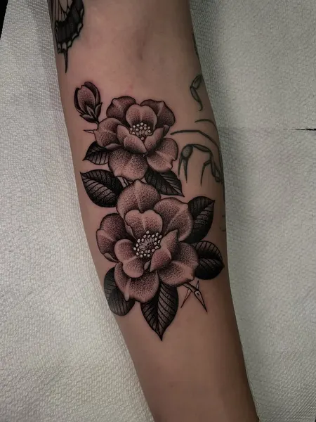 Flower, Rose