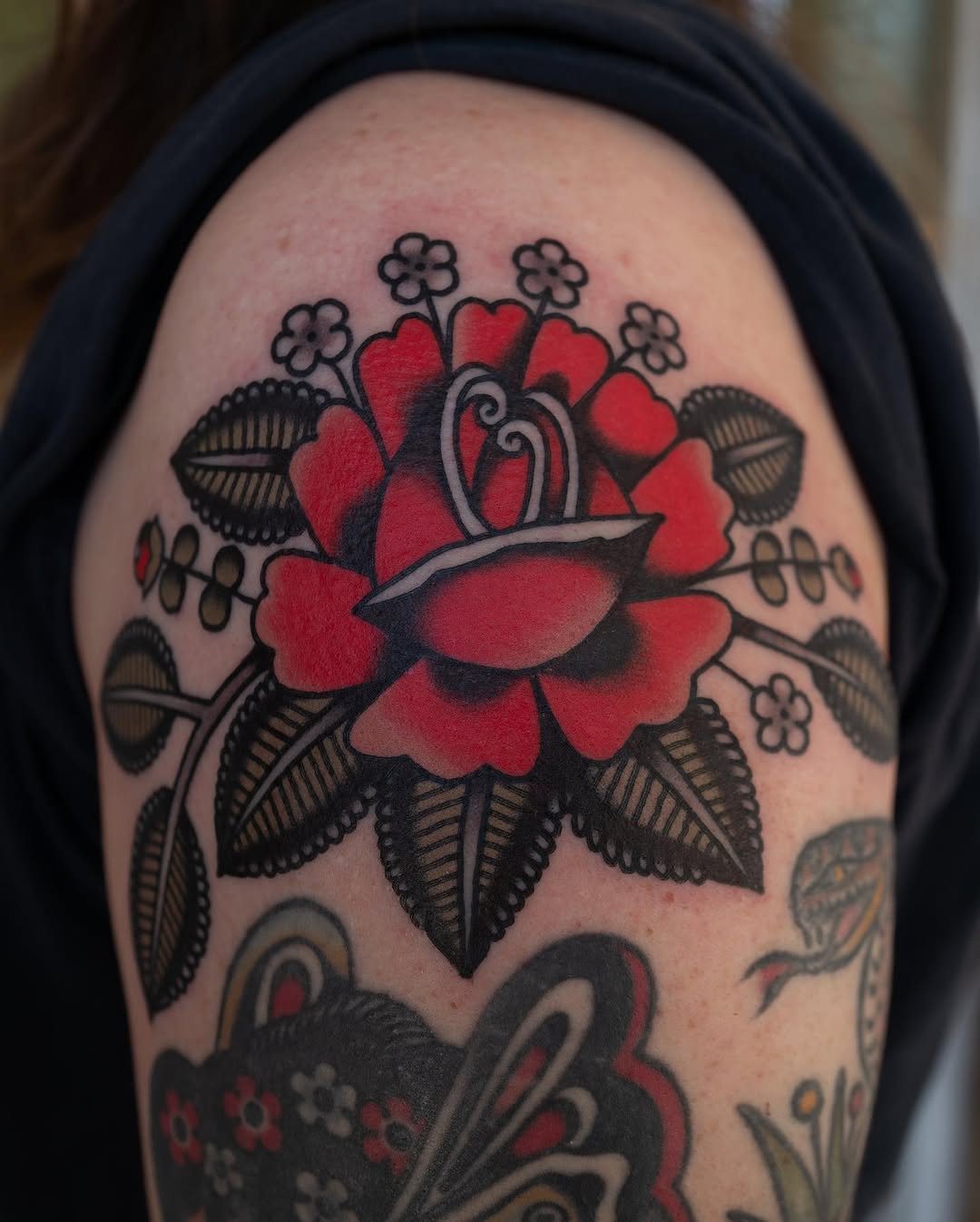 Flower, Rose, Nature