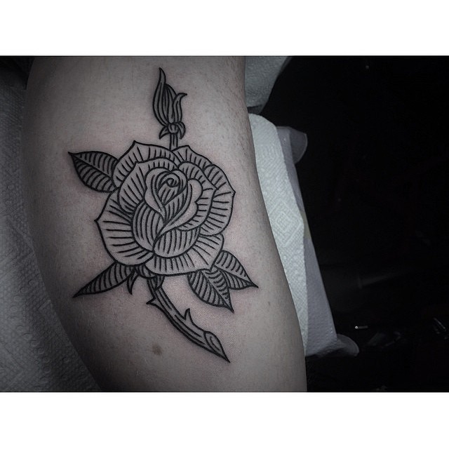 Flower, Rose