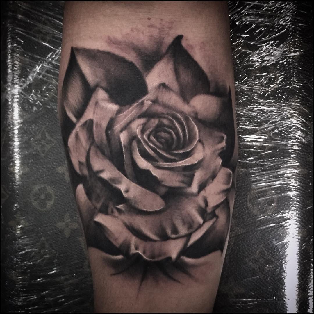 Flower, Rose