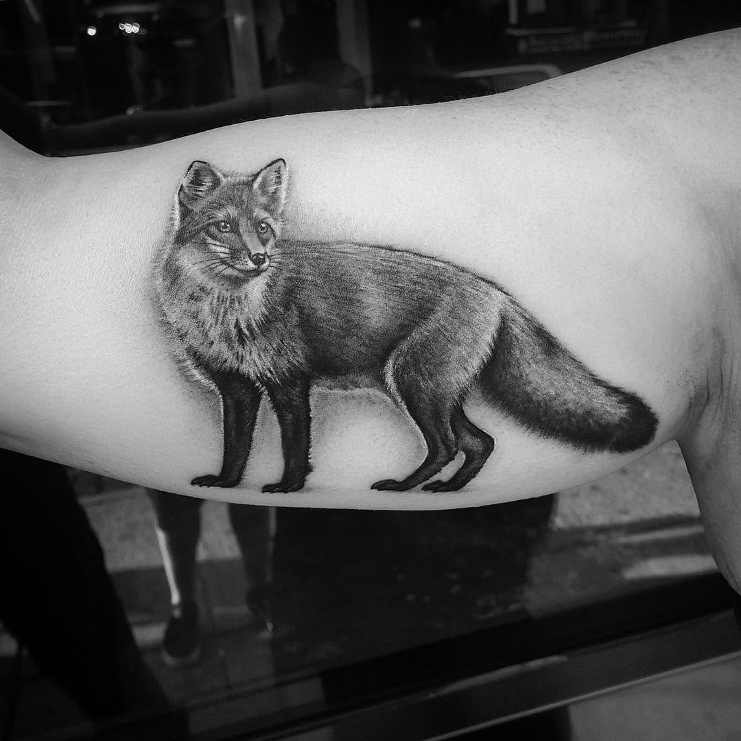 Animal
