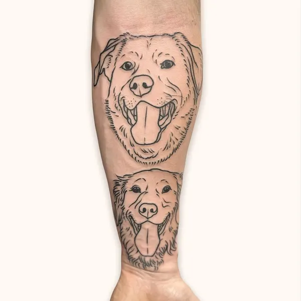 Animal