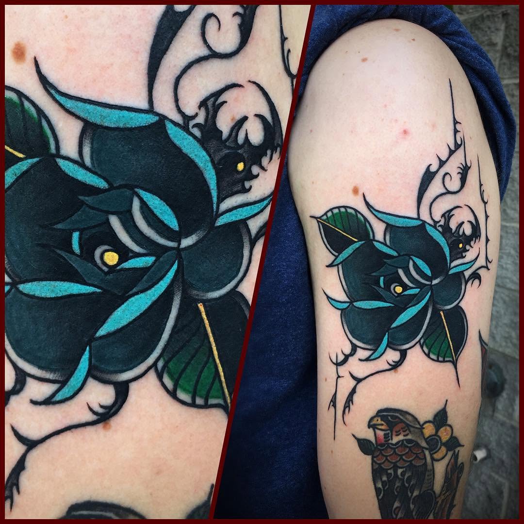 Flower, Rose
