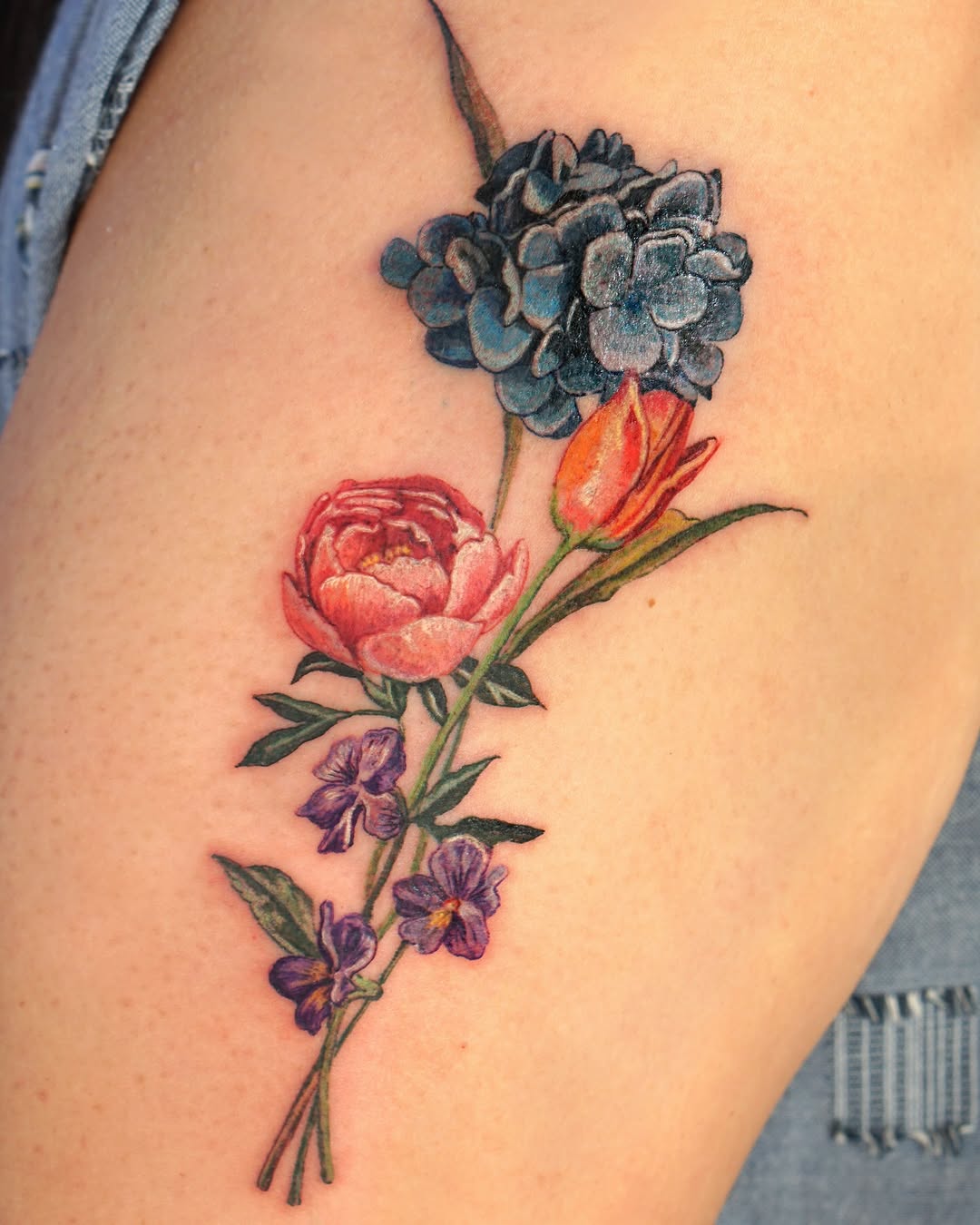 Flower, Rose, Nature