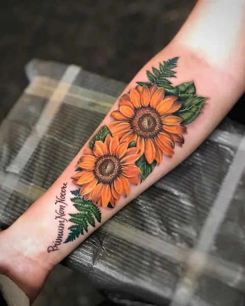Flower, Nature, Rose