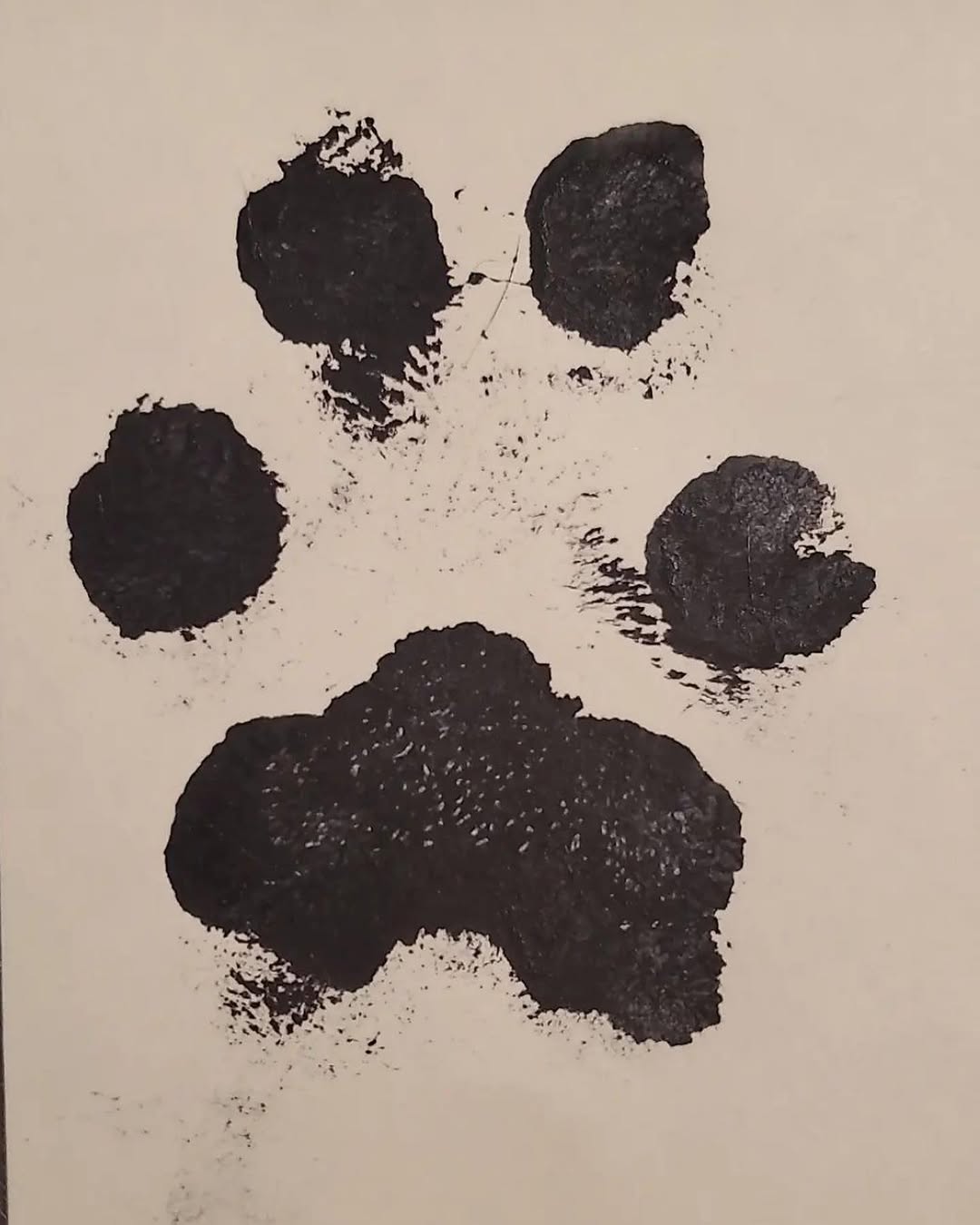 Animal