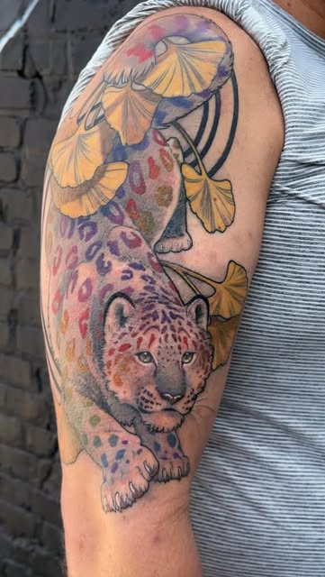 Animal, 표범, 재규어, 치타