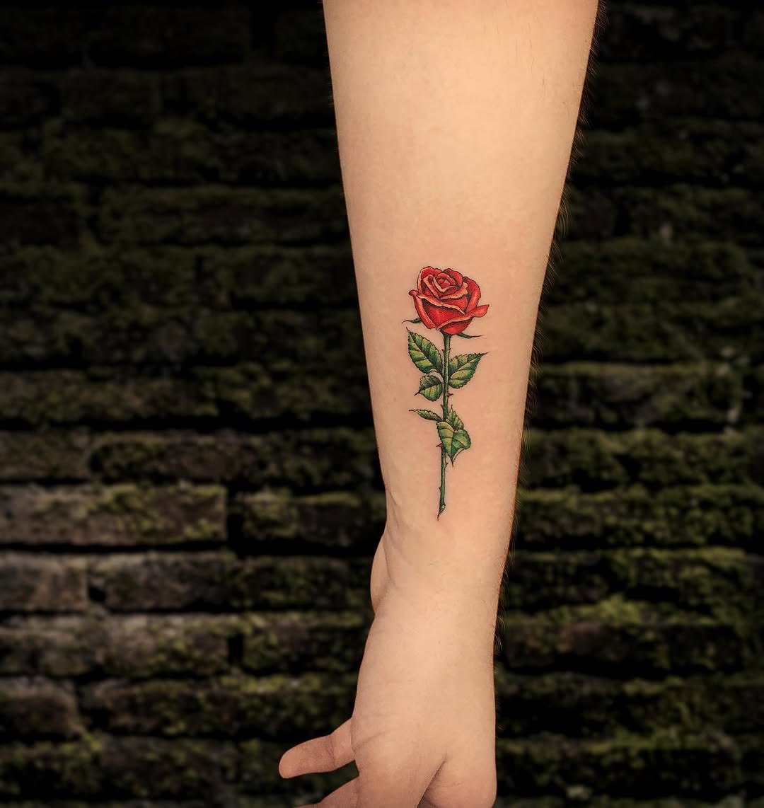 Flower, Rose