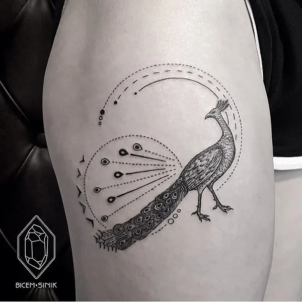 equilattera