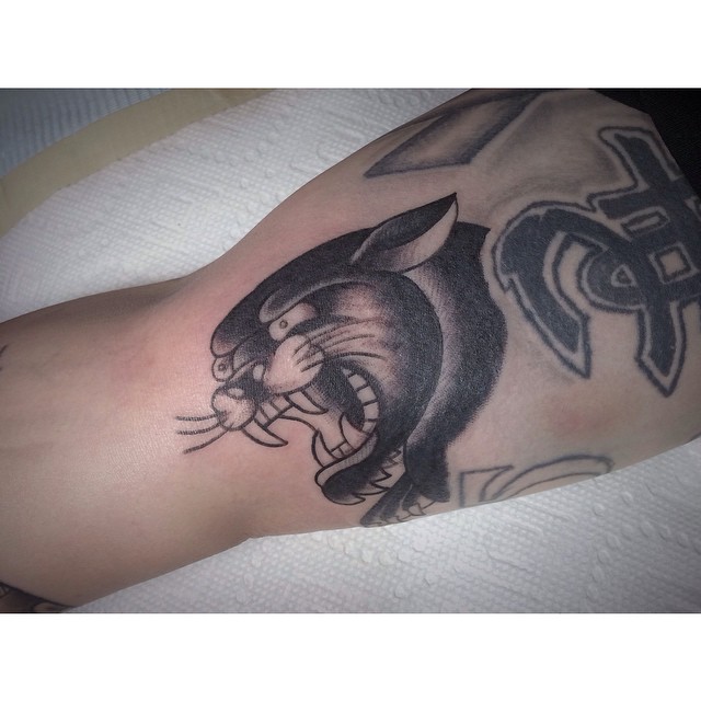 Tiger, Animal