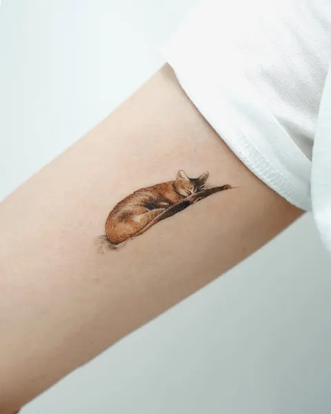 soltattoo