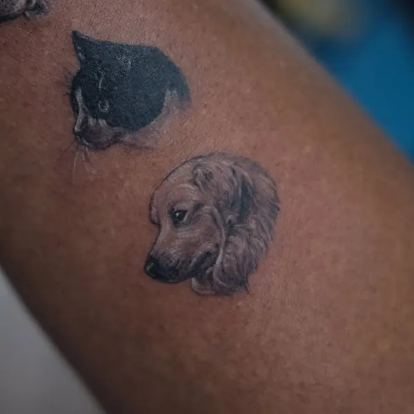 Animal