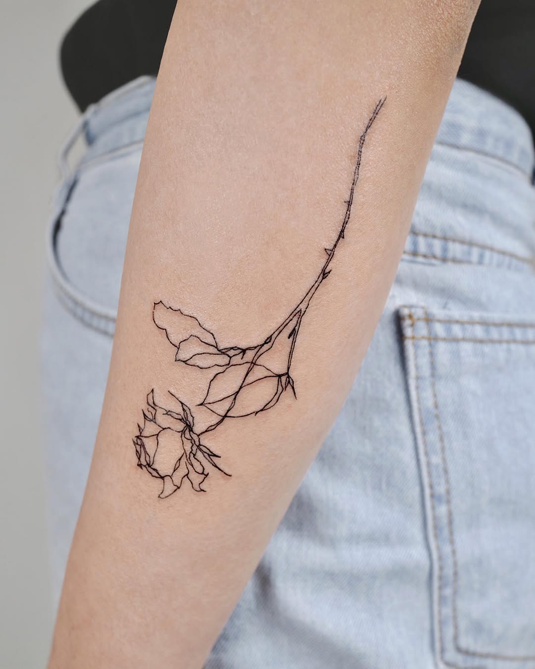 Flower, Rose