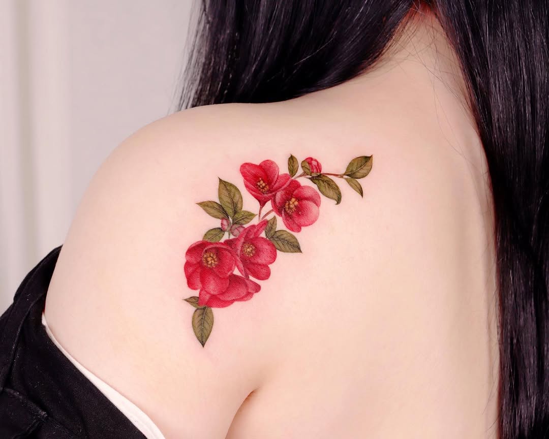 Flower, Rose