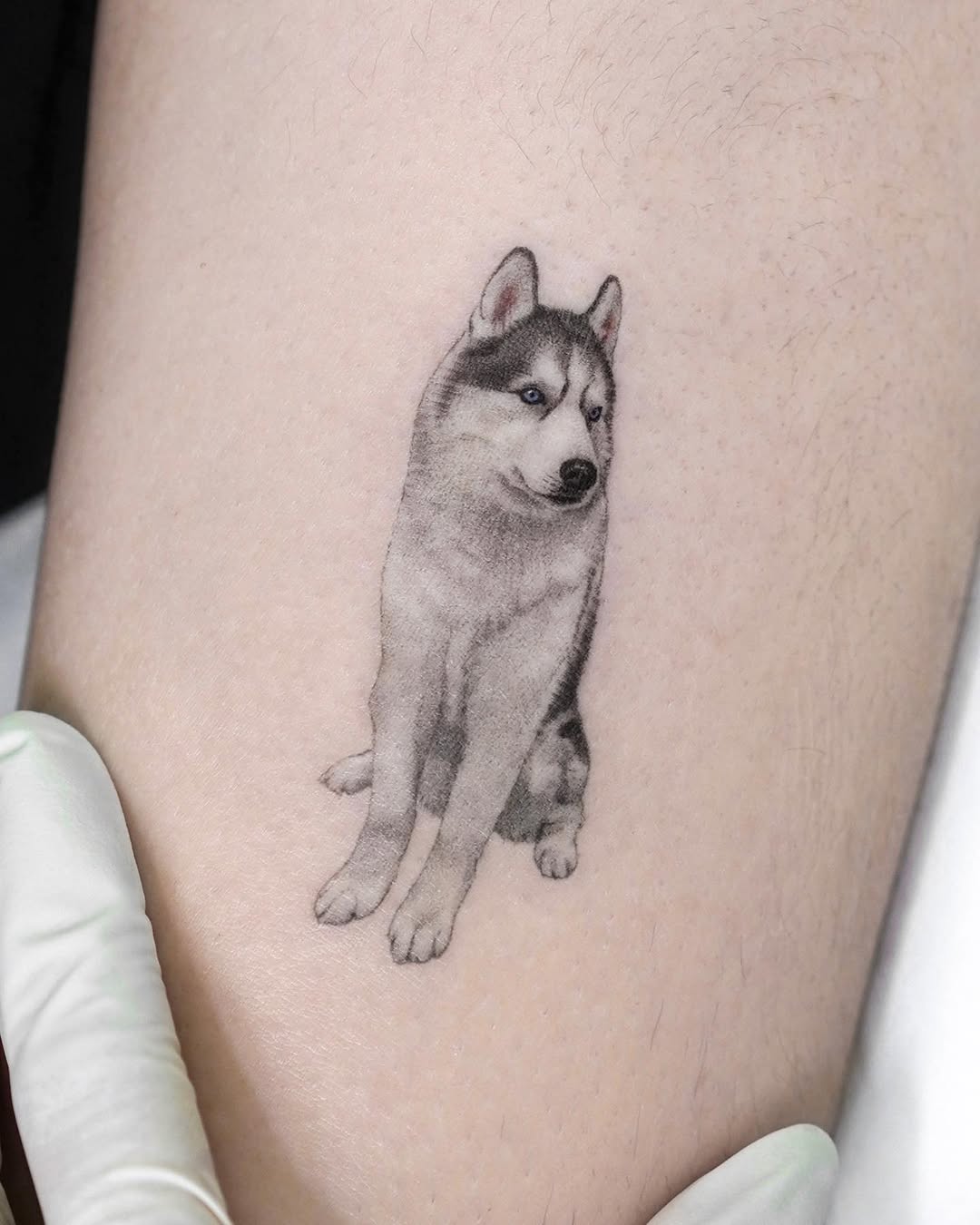 dorok.tattoo