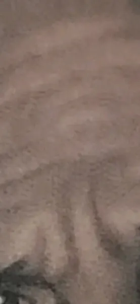 david_vega83