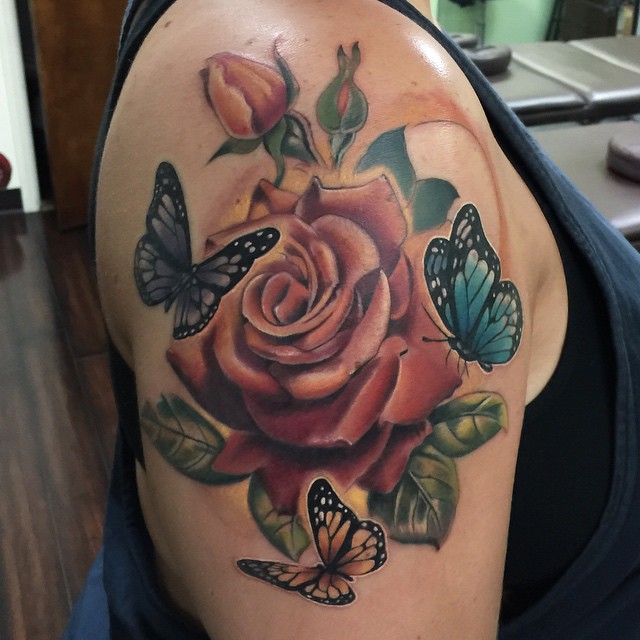 Flower, Nature, Animal