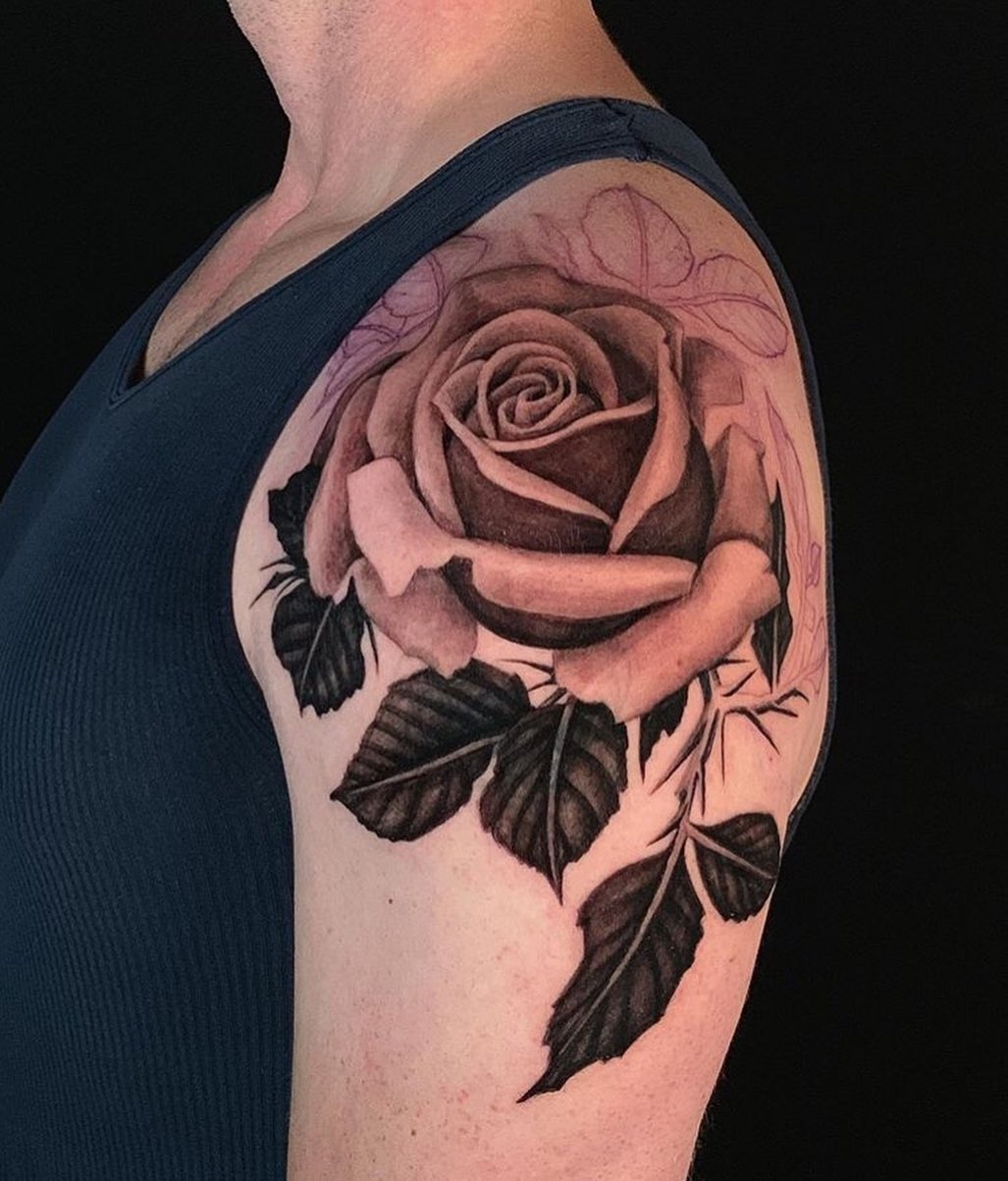 Flower, Rose, Nature