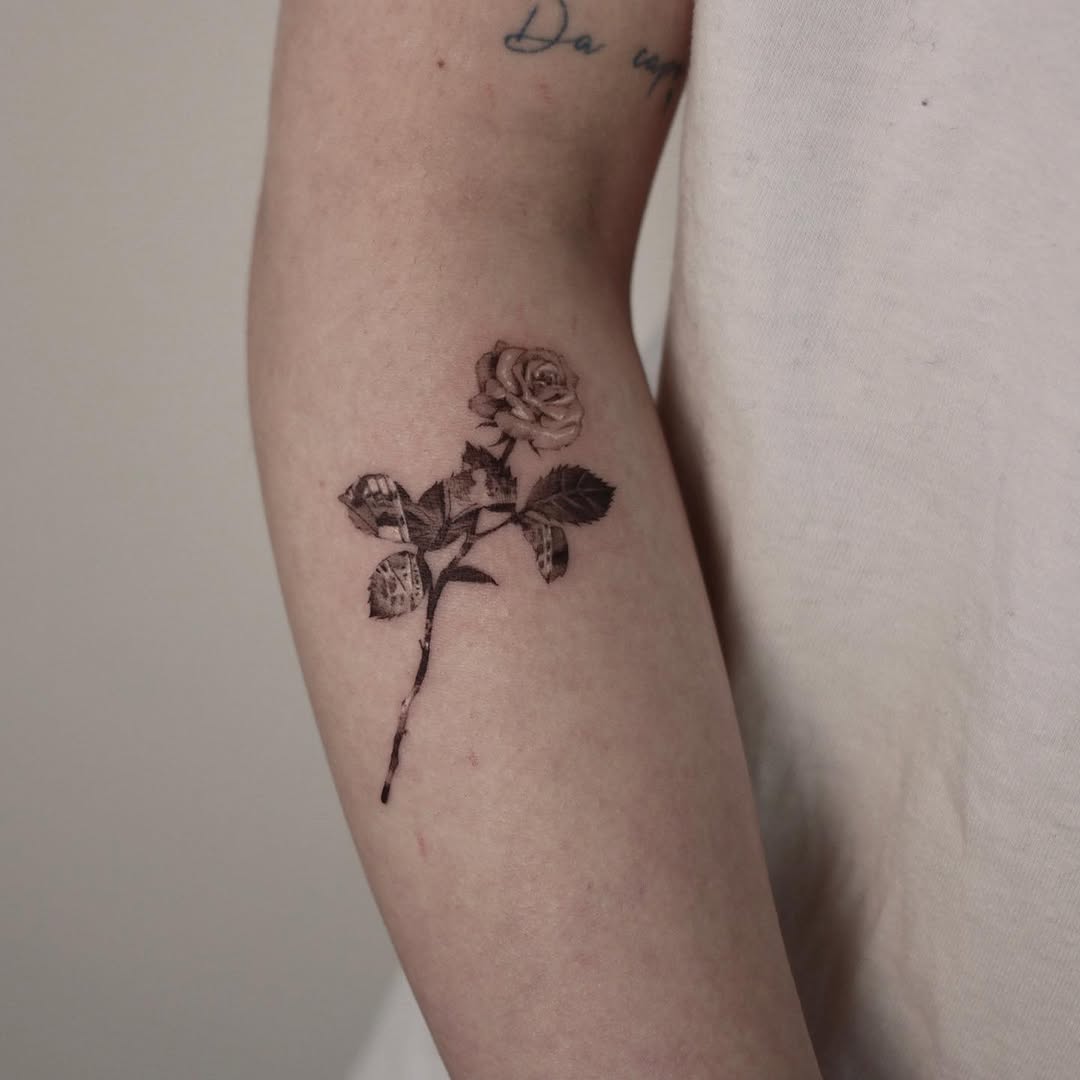 40.tatt