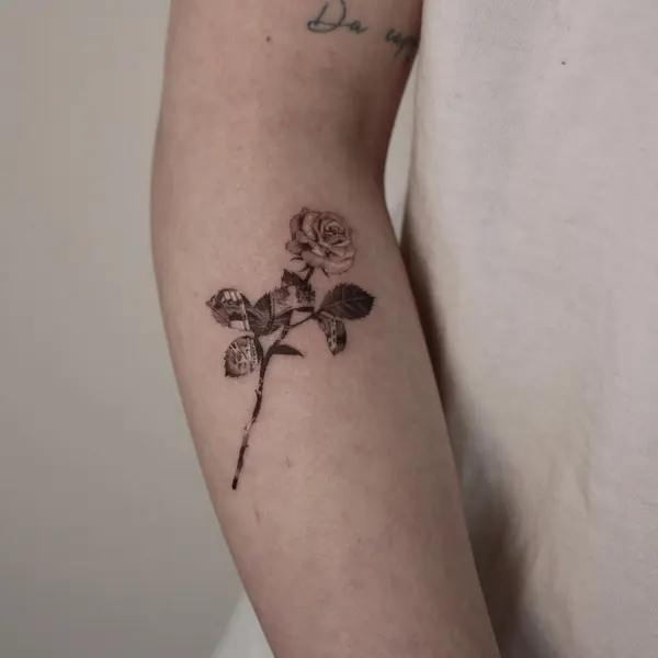 40.tatt