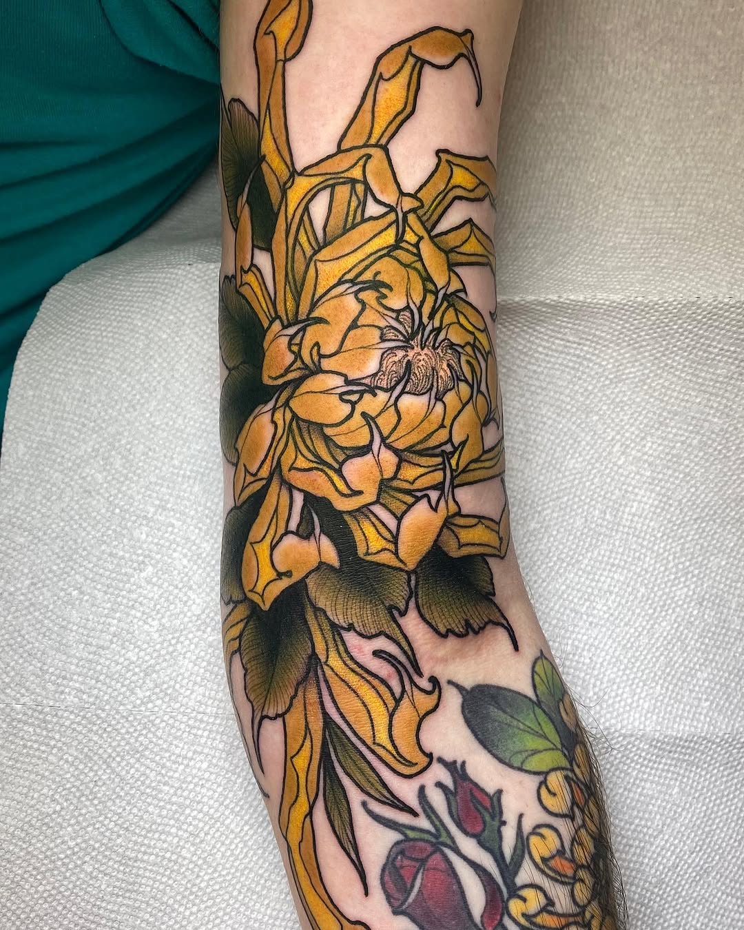 Flower, Rose