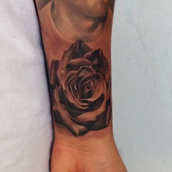 Flower, Rose
