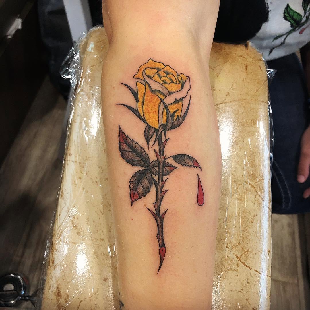 Flower, Rose