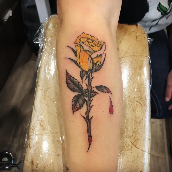 Flower, Rose