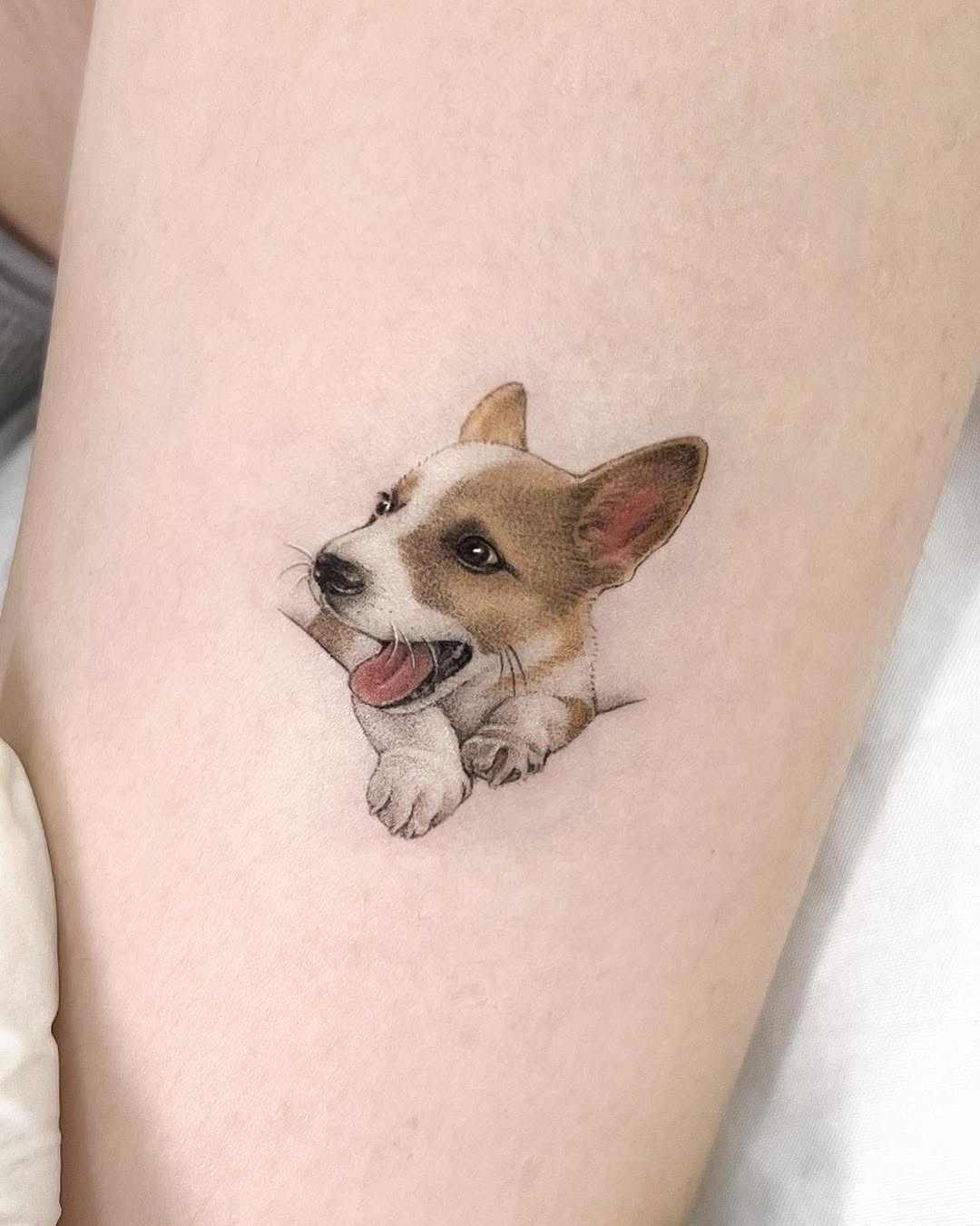 dorok.tattoo