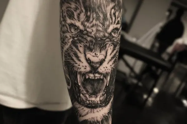 Tiger