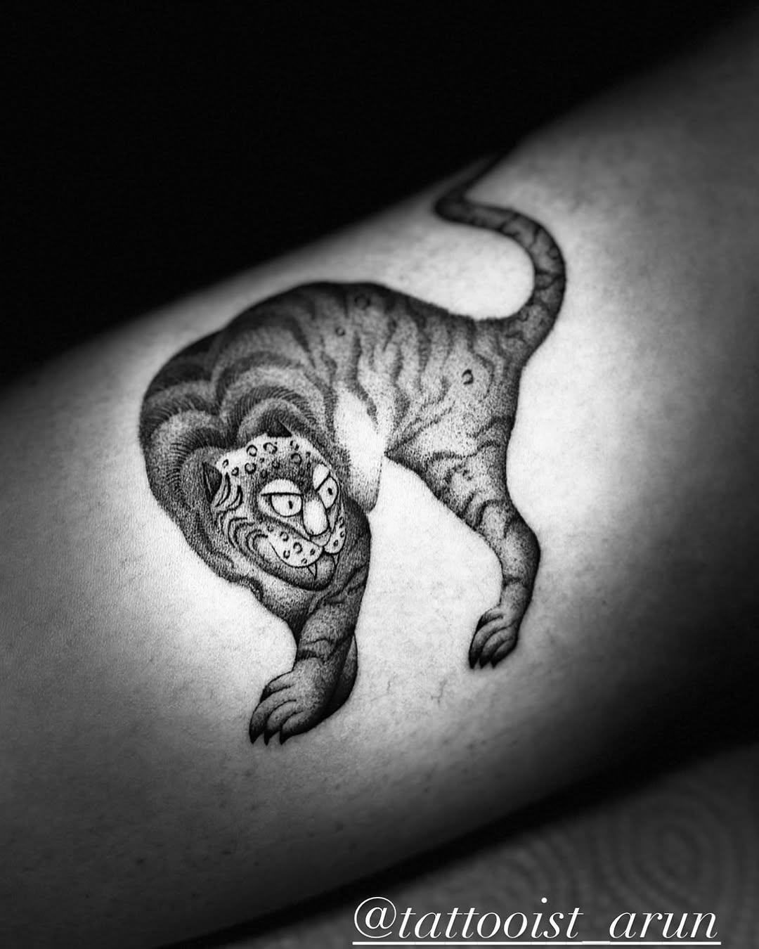 Tiger