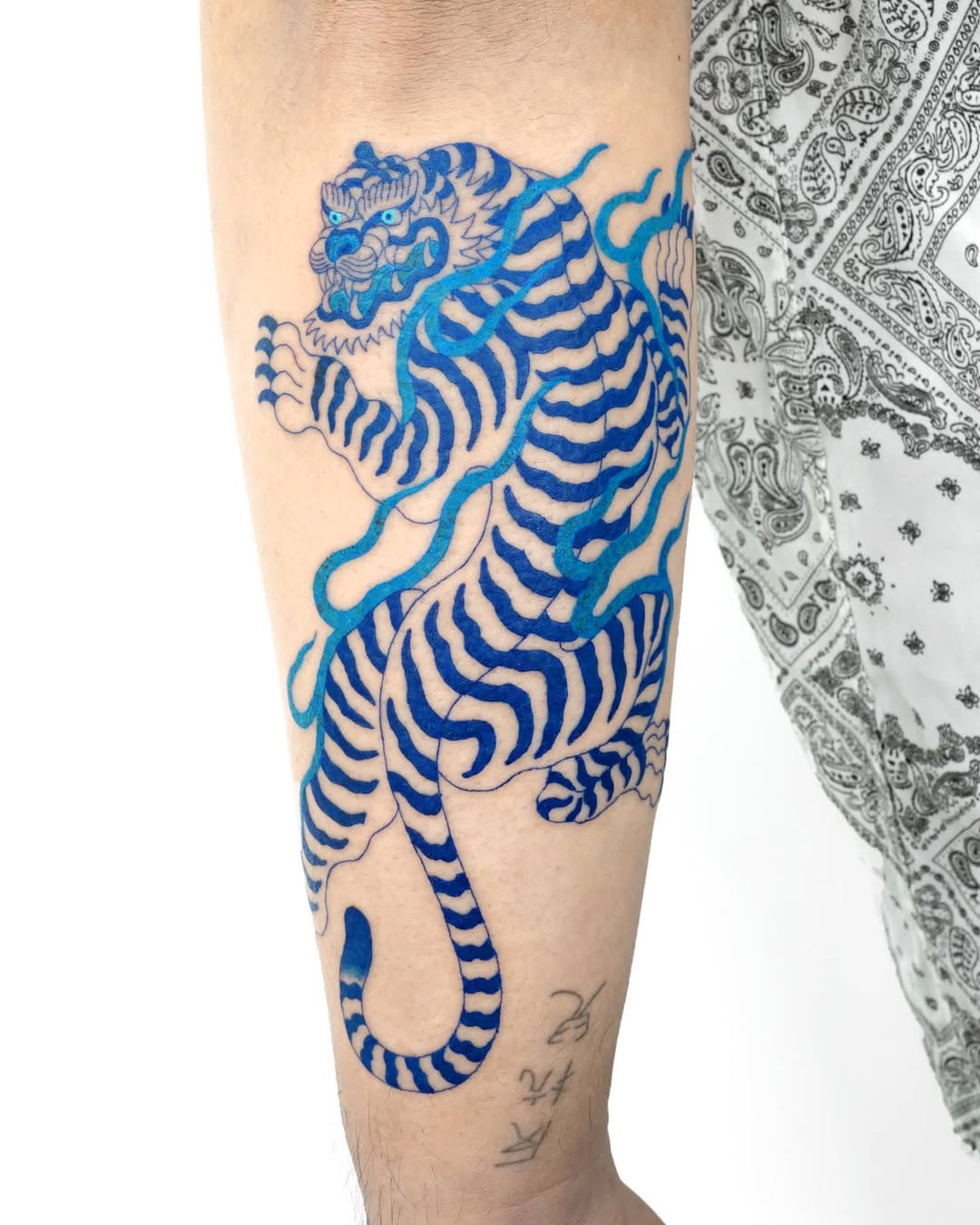 Tiger