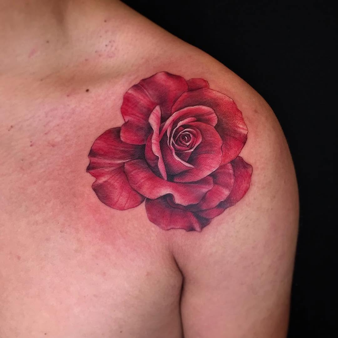 Nature, Rose, Flower