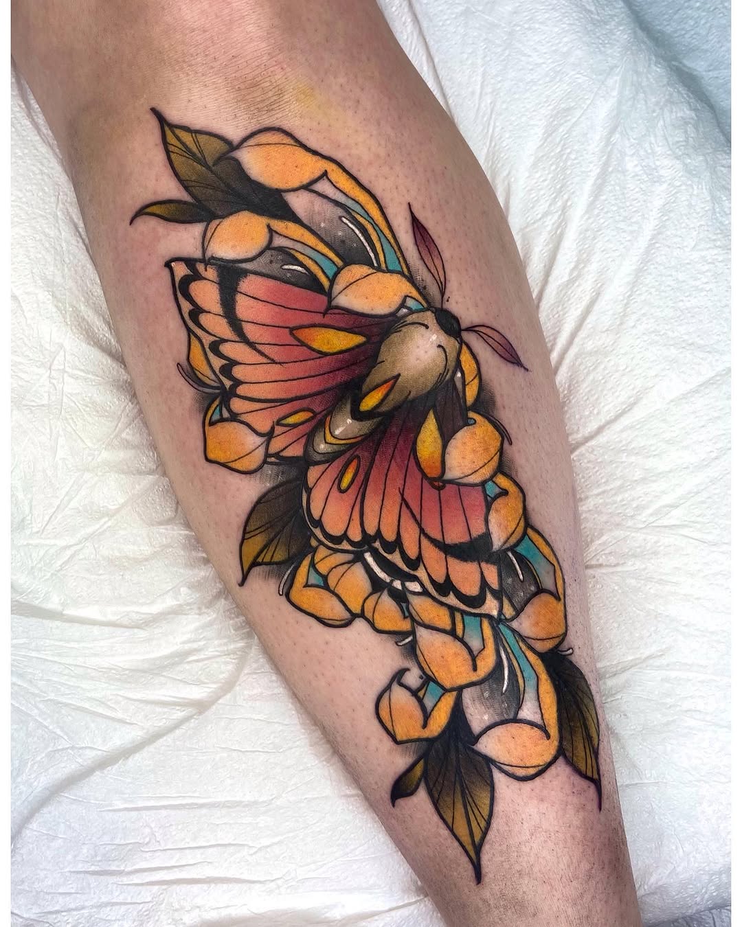 Animal, Nature, Flower