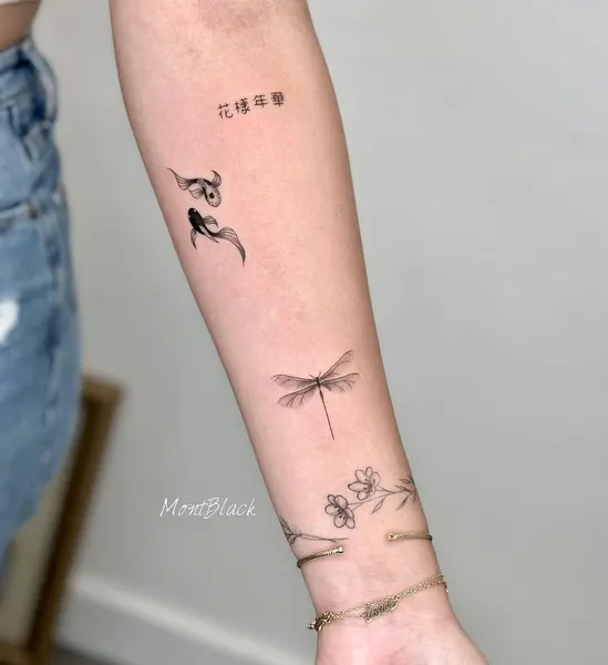 Animal, Nature