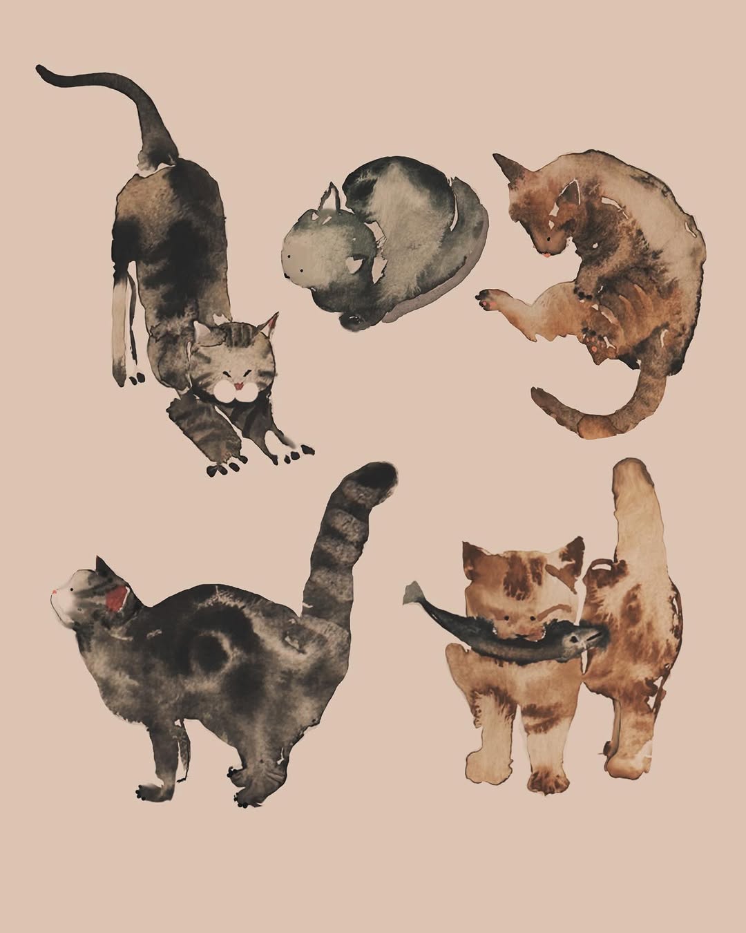 Animal